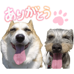 sankyou_20260425225858