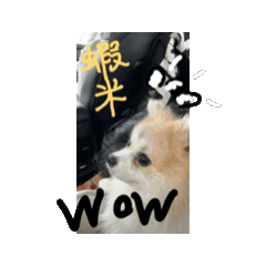 會動的貼圖好玩，太好玩了