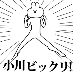 Rabbit Name ogawa.moves!