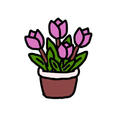 A variety of flowers