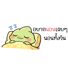 Moody Chameleon Daily Life