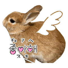 pyonmokuchan_20260425213842