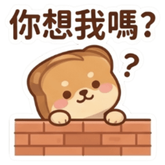 ★麵包柴犬★ 你想我嗎？