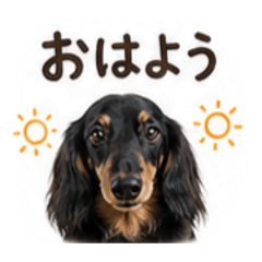Cyoko_20260425214240