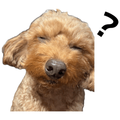 Haruto_20260425232153