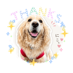 aromayako_20260425220230