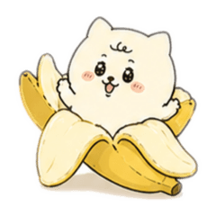 My beloved Pomeranian 4