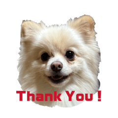 YamaHaru_20260425220453