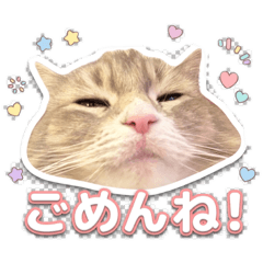 Natsumi_20260425220846