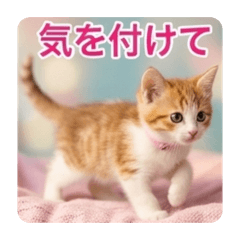 A  office_20260425220804