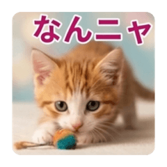 A  office_20260426001742