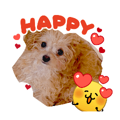 inudaisuki_20260425224145