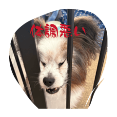 taruto_20260425224324