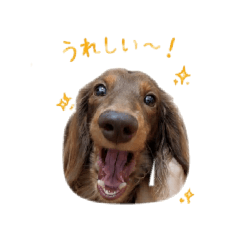 Hona Studio_20260425223511