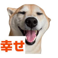 KIGANUU_20260425224835