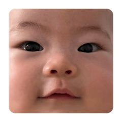 ray-c_20260425225400