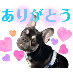 marimo_20260426010536