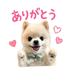 a___ju4_20260426005929