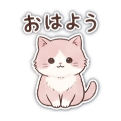 saltotto_20260426011201