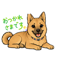 Hotate House_20260426010033