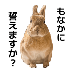 monatan_20260426010303