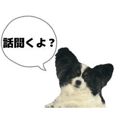 Mizuki_20260425231346