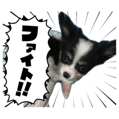 masaki_20260425231048