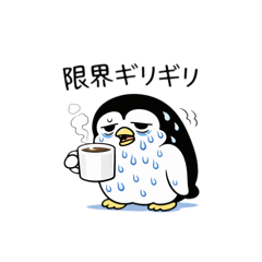 Zebra_20260425231354