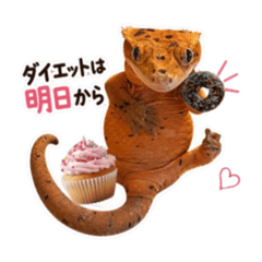 Yun family_20260426030838