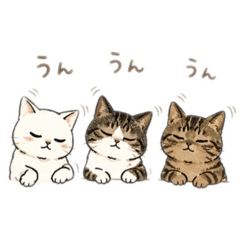 Buncho_20260425232004