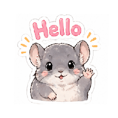 Fluffy Chinchilla Expressions