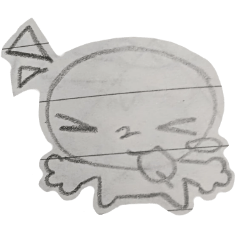 raccoon_20260425202614