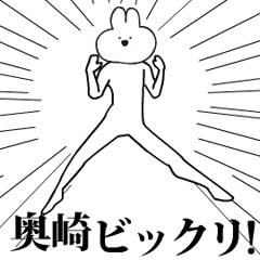 Rabbit Name okusaki.moves!