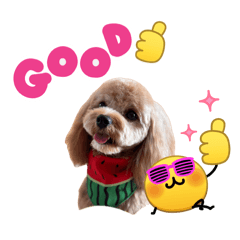 MOMAKA_20260426000155