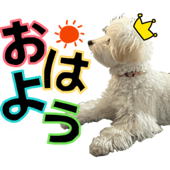 plrelna_20260426000200