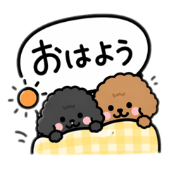 popola_20260426000025