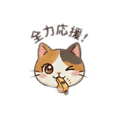 chanchi_20260426062710