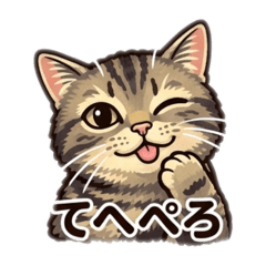 popola_20260425235715