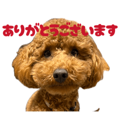 kaori_20260426001328