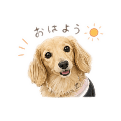 kinako_20260426071057