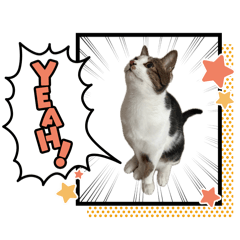 hiroki0210_20260426071834