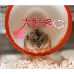 syuka_20260426072341