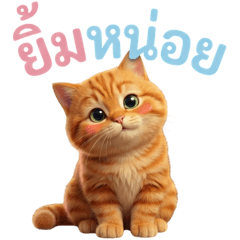 Som Som the playful cat