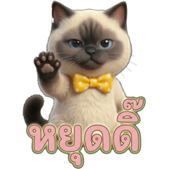 Wichian the Cat, a messenger of love