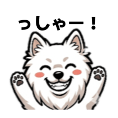 AYUHARA_20260426004003