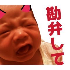 gussan_20260426004617