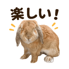 yamatoramu_20260426005418