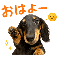 gin422_20260426005330