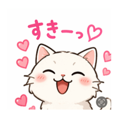 Everyday Cats with KALEN