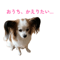 o.tetsu_20260426005557